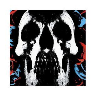 Deftones Album Punk Poster 165